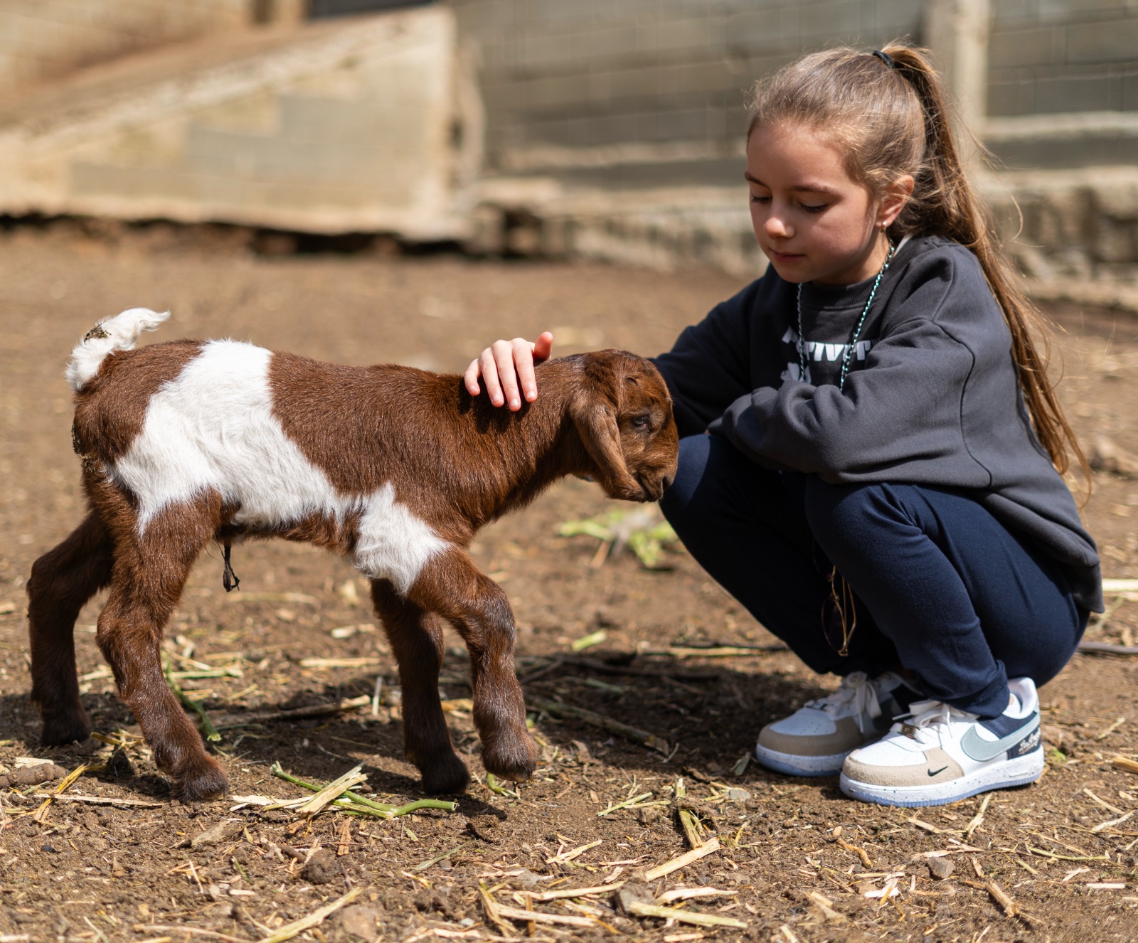 Farm to table experience