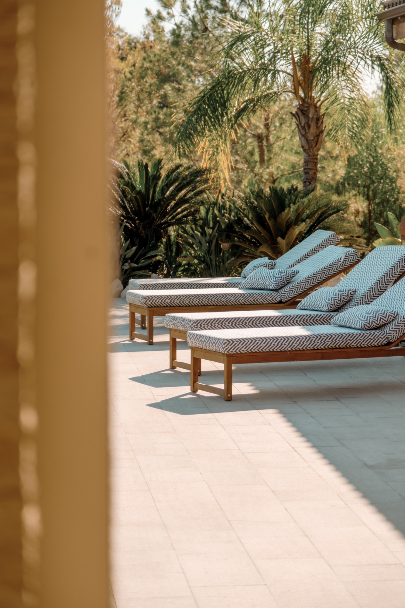 Sun loungers on the terrace